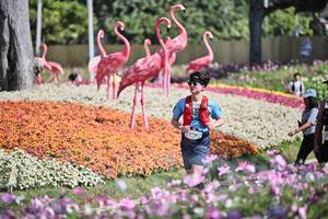 BIB: 
                            <button type="button" onclick="openModal(27793101)" class="btn btn-primary btn-sm float-right btn-popup" data-toggle="modal" data-target=".modal-high-quality">
                        <i class="fas fa-shopping-cart"></i> Add to Cart
                    </button>
                                            <button type="button" onclick="isThisMe(27793101, true)" class="btn btn-success btn-sm float-right btn-popup btn-isme hidden" data-toggle="tooltip" data-placement="bottom" title="นี่คือรูปของคุณใช่ไหม คลิกที่นี่เพื่อเอาเข้าอัลบั้ม">
                        <i class="fas fa-plus"></i> Add to album
                    </button>
                    <button type="button" onclick="isThisMe(27793101, false)" class="btn btn-warning btn-sm float-right btn-popup btn-isnotme hidden">
                        <i class="fas fa-ban"></i> Remove from album
                    </button>